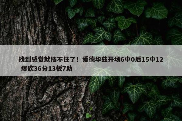 找到感觉就挡不住了！爱德华兹开场6中0后15中12 爆砍36分13板7助