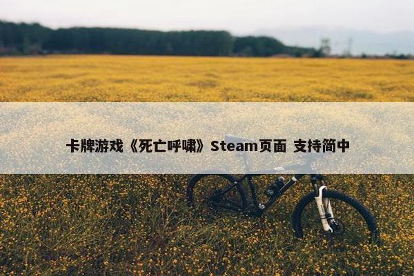 卡牌游戏《死亡呼啸》Steam页面 支持简中