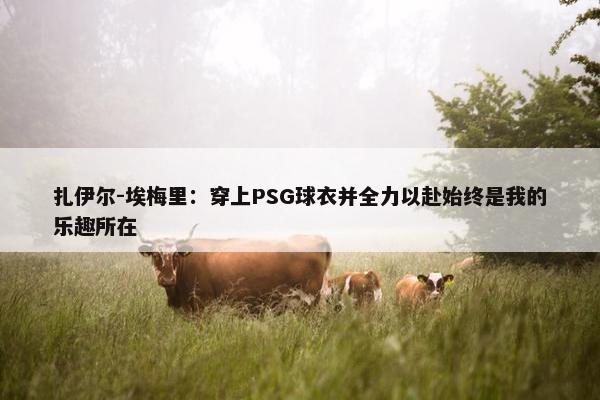 扎伊尔-埃梅里：穿上PSG球衣并全力以赴始终是我的乐趣所在