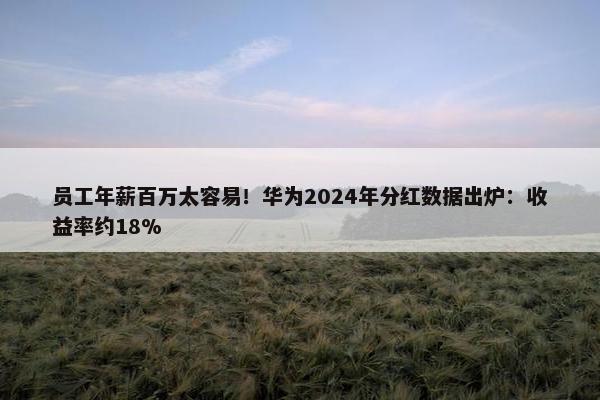 员工年薪百万太容易！华为2024年分红数据出炉：收益率约18%