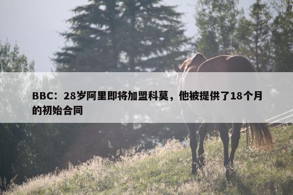 BBC：28岁阿里即将加盟科莫，他被提供了18个月的初始合同