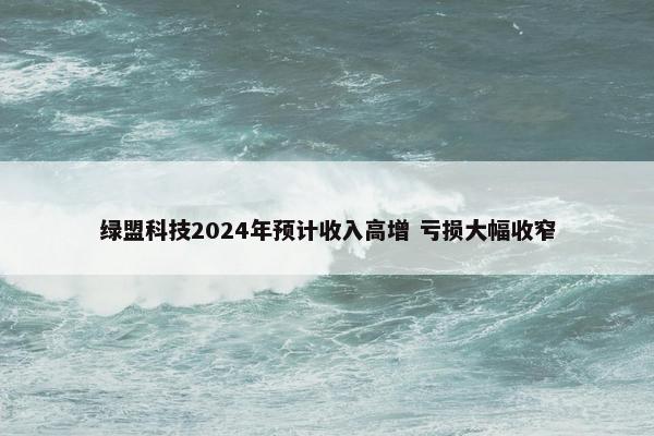 绿盟科技2024年预计收入高增 亏损大幅收窄