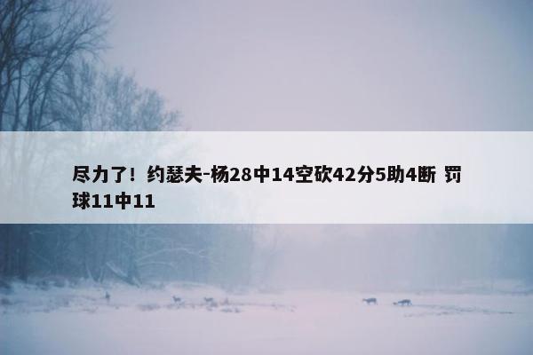 尽力了！约瑟夫-杨28中14空砍42分5助4断 罚球11中11