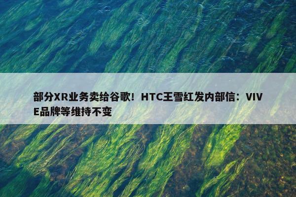 部分XR业务卖给谷歌！HTC王雪红发内部信：VIVE品牌等维持不变