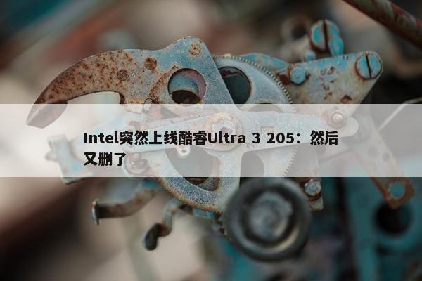 Intel突然上线酷睿Ultra 3 205：然后又删了