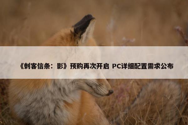 《刺客信条：影》预购再次开启 PC详细配置需求公布