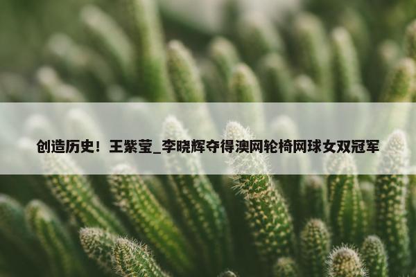 创造历史！王紫莹_李晓辉夺得澳网轮椅网球女双冠军