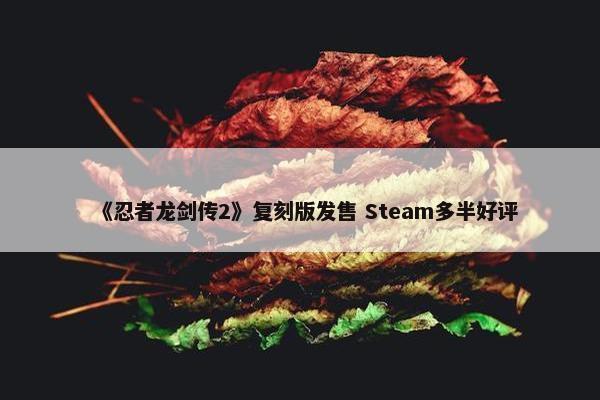 《忍者龙剑传2》复刻版发售 Steam多半好评