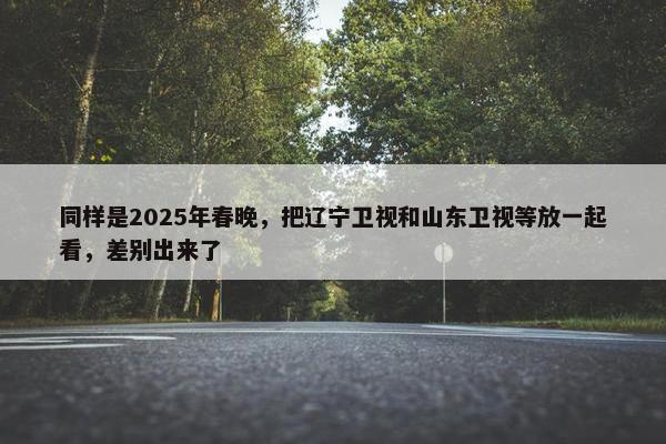 同样是2025年春晚，把辽宁卫视和山东卫视等放一起看，差别出来了