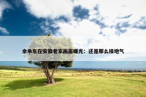 余承东在安徽老家画面曝光：还是那么接地气