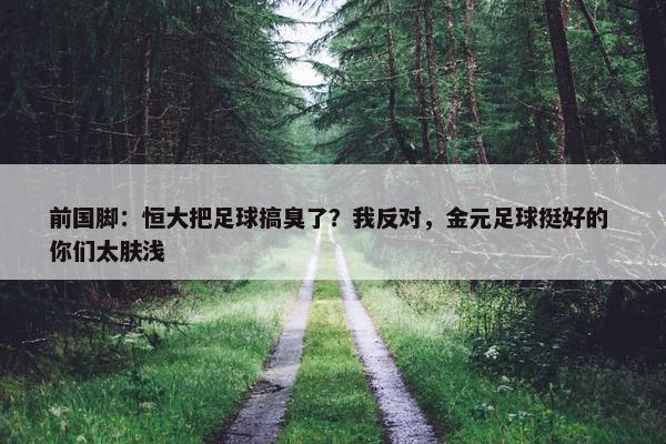 前国脚：恒大把足球搞臭了？我反对，金元足球挺好的 你们太肤浅