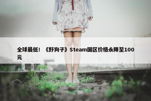 全球最低！《野狗子》Steam国区价格永降至100元