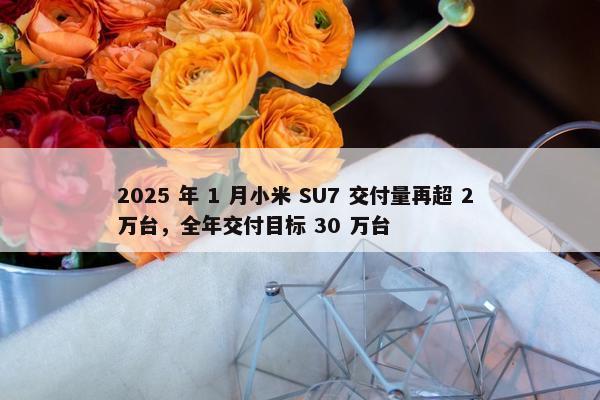 2025 年 1 月小米 SU7 交付量再超 2 万台，全年交付目标 30 万台