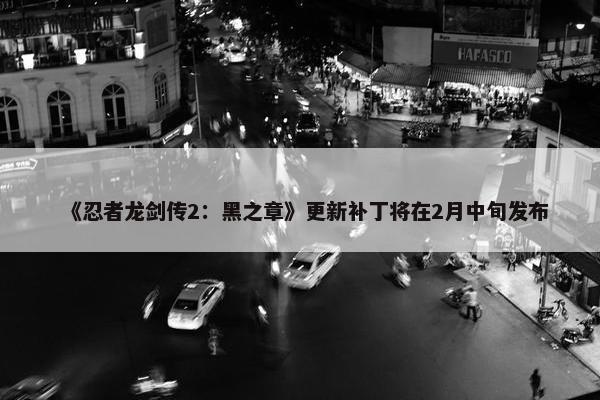 《忍者龙剑传2：黑之章》更新补丁将在2月中旬发布