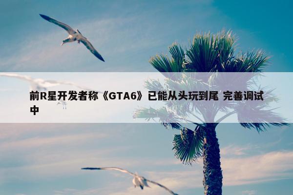 前R星开发者称《GTA6》已能从头玩到尾 完善调试中