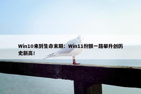 Win10来到生命末期：Win11份额一路攀升创历史新高！