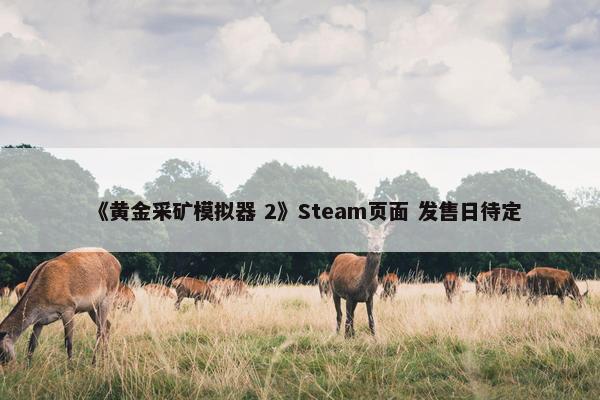 《黄金采矿模拟器 2》Steam页面 发售日待定