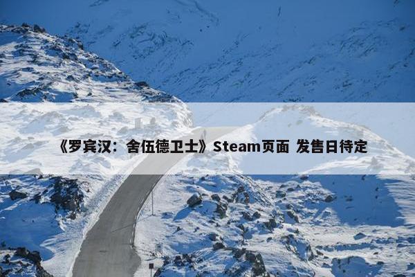 《罗宾汉：舍伍德卫士》Steam页面 发售日待定