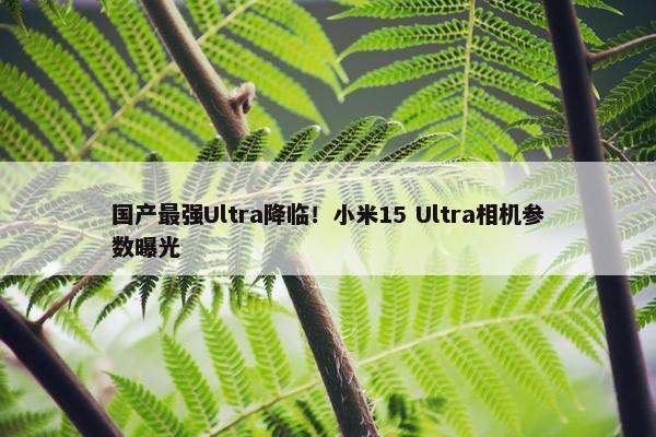 国产最强Ultra降临！小米15 Ultra相机参数曝光