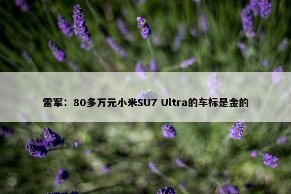 雷军：80多万元小米SU7 Ultra的车标是金的