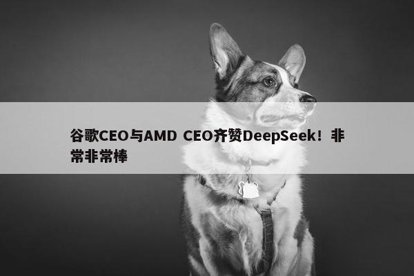 谷歌CEO与AMD CEO齐赞DeepSeek！非常非常棒