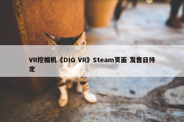 VR挖掘机《DIG VR》Steam页面 发售日待定