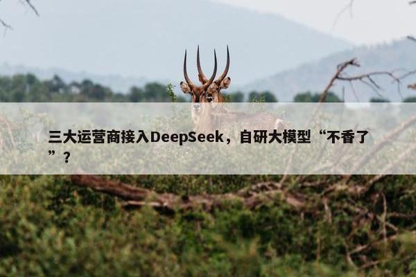 三大运营商接入DeepSeek，自研大模型“不香了”？