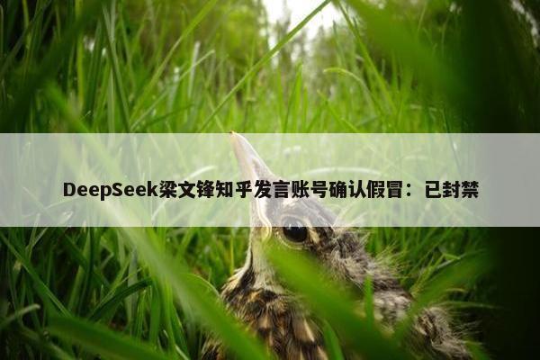 DeepSeek梁文锋知乎发言账号确认假冒：已封禁