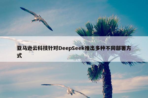 亚马逊云科技针对DeepSeek推出多种不同部署方式