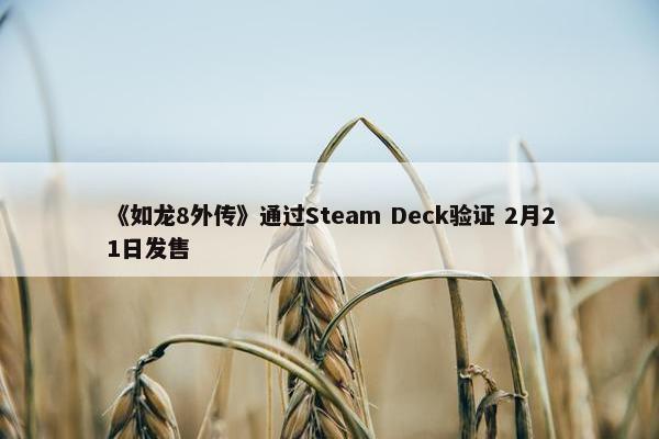 《如龙8外传》通过Steam Deck验证 2月21日发售