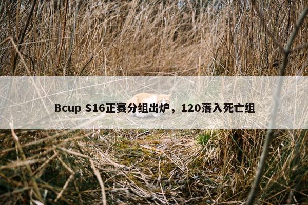 Bcup S16正赛分组出炉，120落入死亡组