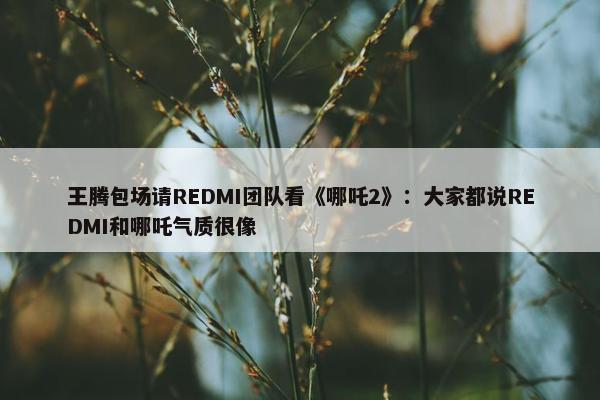 王腾包场请REDMI团队看《哪吒2》：大家都说REDMI和哪吒气质很像