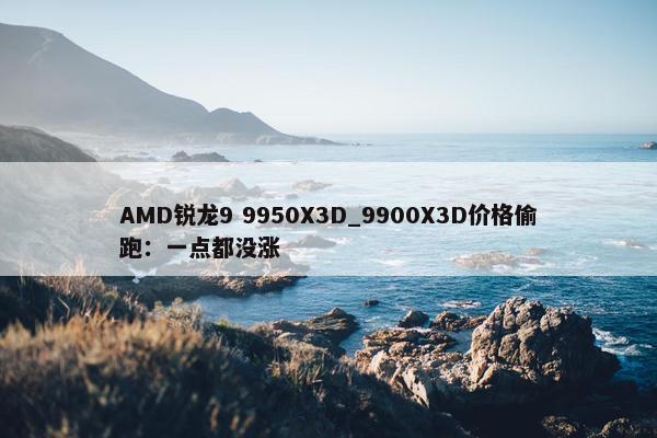 AMD锐龙9 9950X3D_9900X3D价格偷跑：一点都没涨