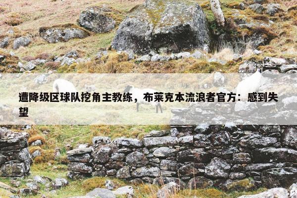 遭降级区球队挖角主教练，布莱克本流浪者官方：感到失望