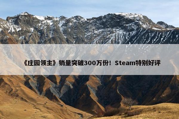 《庄园领主》销量突破300万份！Steam特别好评