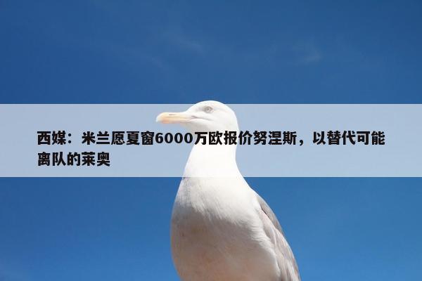 西媒：米兰愿夏窗6000万欧报价努涅斯，以替代可能离队的莱奥