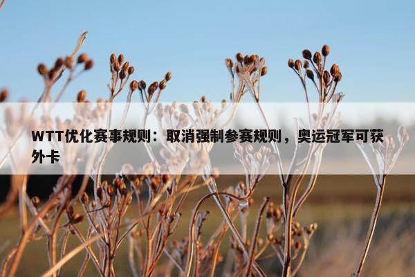 WTT优化赛事规则：取消强制参赛规则，奥运冠军可获外卡