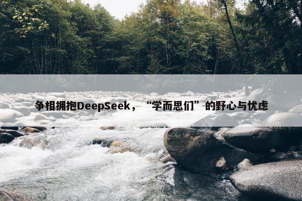 争相拥抱DeepSeek，“学而思们”的野心与忧虑