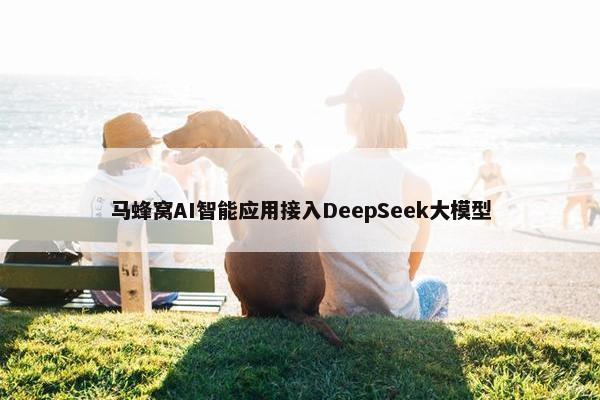 马蜂窝AI智能应用接入DeepSeek大模型