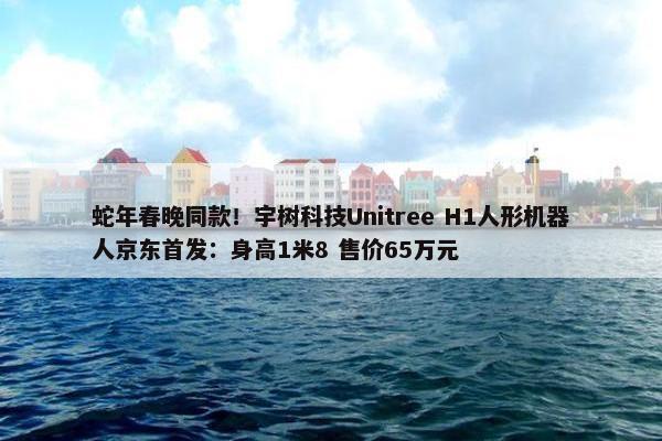 蛇年春晚同款！宇树科技Unitree H1人形机器人京东首发：身高1米8 售价65万元