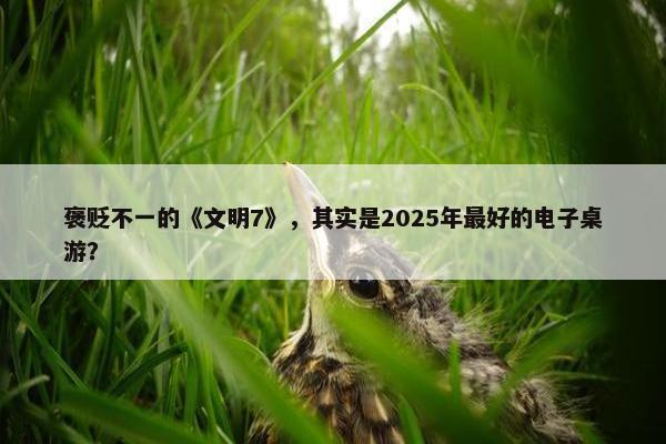 褒贬不一的《文明7》，其实是2025年最好的电子桌游？