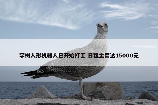 宇树人形机器人已开始打工 日租金高达15000元