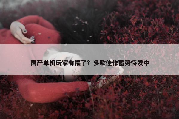 国产单机玩家有福了？多款佳作蓄势待发中