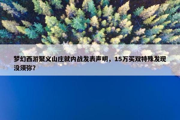 梦幻西游聚义山庄就内战发表声明，15万买双特殊发现没须弥？