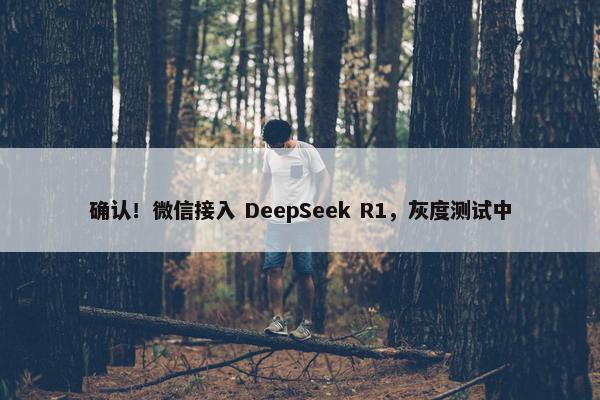 确认！微信接入 DeepSeek R1，灰度测试中