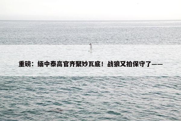 重磅：缅中泰高官齐聚妙瓦底！战狼又拍保守了——