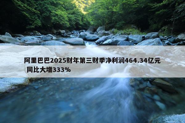 阿里巴巴2025财年第三财季净利润464.34亿元 同比大增333%