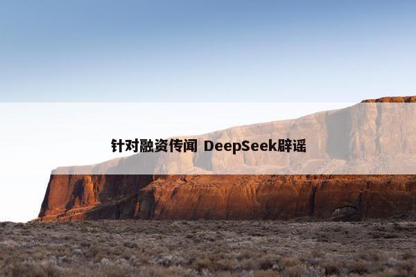 针对融资传闻 DeepSeek辟谣