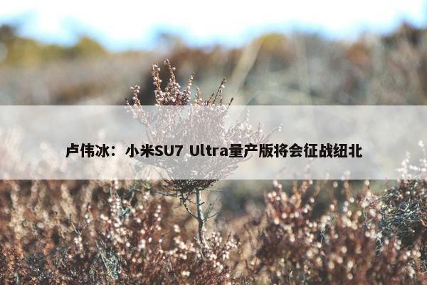 卢伟冰：小米SU7 Ultra量产版将会征战纽北