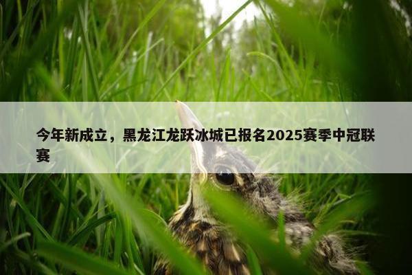 今年新成立，黑龙江龙跃冰城已报名2025赛季中冠联赛